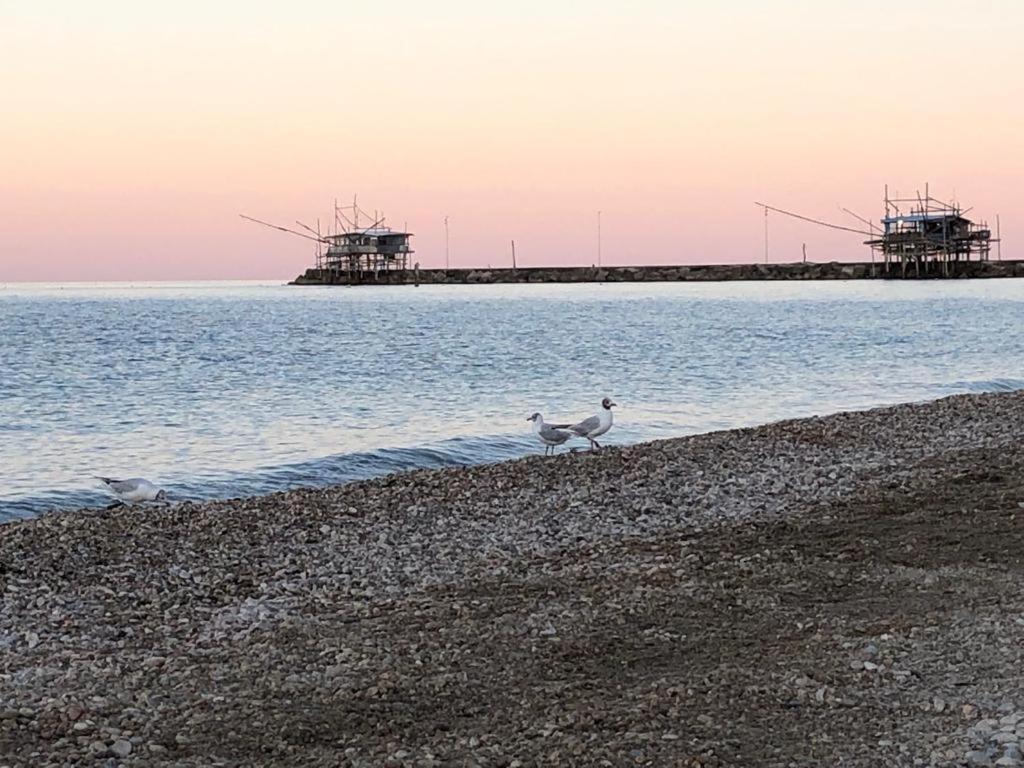 Acquamarina Casa Vacanze Marina di San Vito Kültér fotó